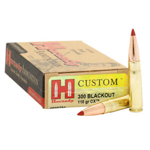 ~HORNADY 300BO 110GR GR CX