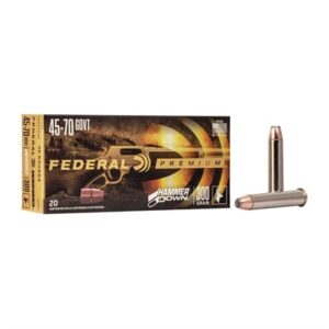 45-70 GOVERNMENT 300GR SOFT POINT 20/BOX