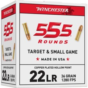 22 LONG RIFLE 36GR COPPER PLATED HOLLOW POINT 555/BOX