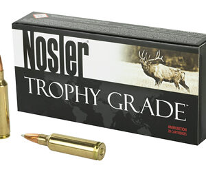 NOSLER 300WSM 180GR AB 20/200