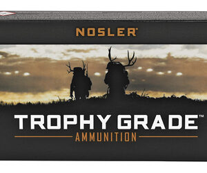 NOSLER TG 243WIN 100GR PT 20/200