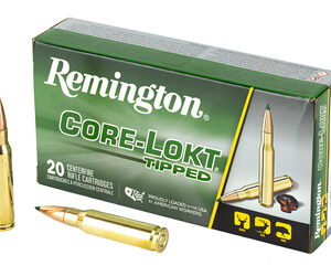 REM 308 WIN 150GR CLOK TIPPED 20/200