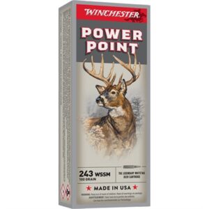 POWER-POINT 243 WSSM 100GR SOFT POINT TIP 20/BOX