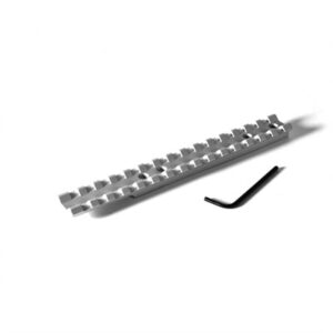 RUGER 10-22 0 MOA SILVER