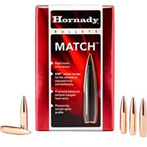 MATCH 22 CALIBER (0.224'') 53GR HOLLOW POINT 100/BOX