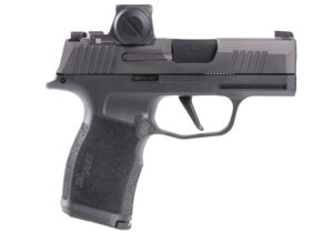 P365X 9mm 3.1" ROMEOX Compact Blk 2/12rd