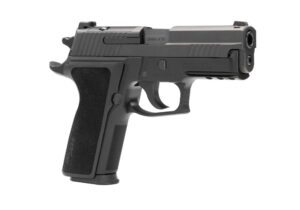 P229 Elite 9MM 3.9" DA/SA  Blk OR (2)15-Rd