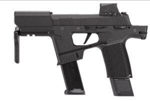 P365  FLUX 9mm 6" Brace ROMEOX Blk 2/17/ 1/25rd