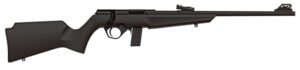 RB22 COMPACT 22LR 16.5" BK/BK 10RDS