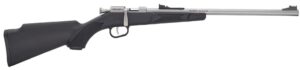 Mini Bolt Youth .22 S/L/LR SS/Blk 1rd