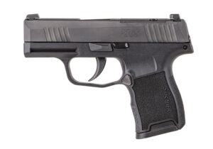 P365 Nitron 380AUTO 3.1" Blk NS MS 10rd