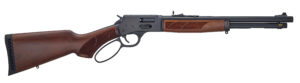 HEN PROTECTOR CB LVR 357M/38SP