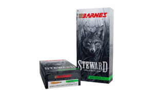 BARNES STWRD 6MM CM 80GR TVK 20/200